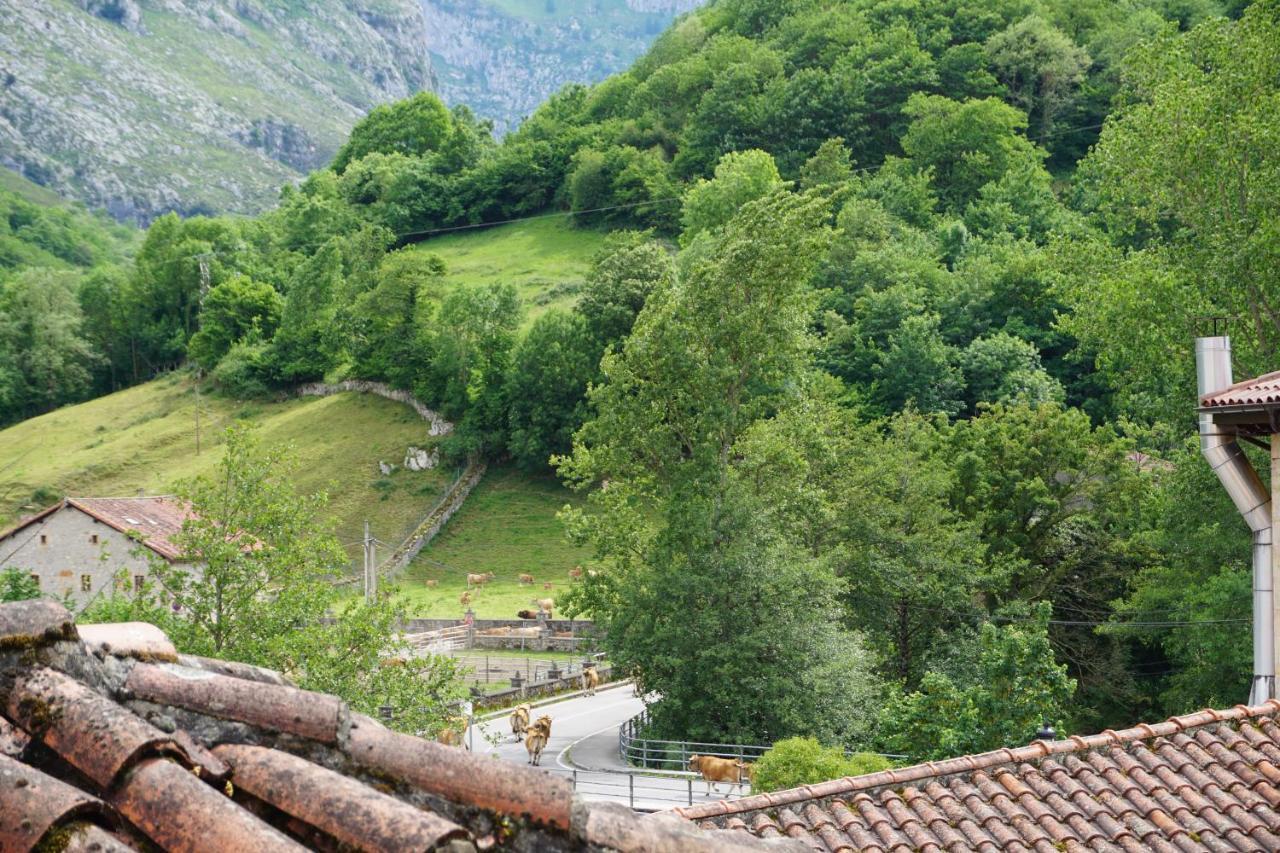 Apartahotel Montecaoru Arenas De Cabrales Buitenkant foto